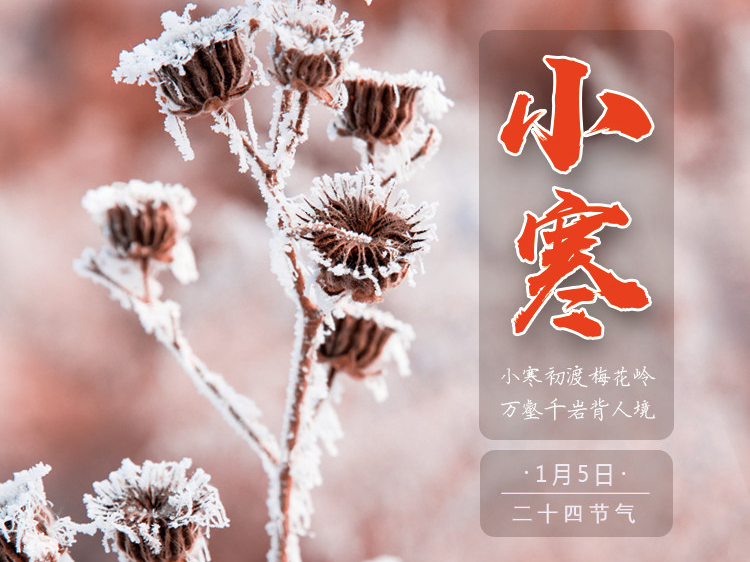 小寒时节，上海bob半岛平台官方网站送祝福给大家！